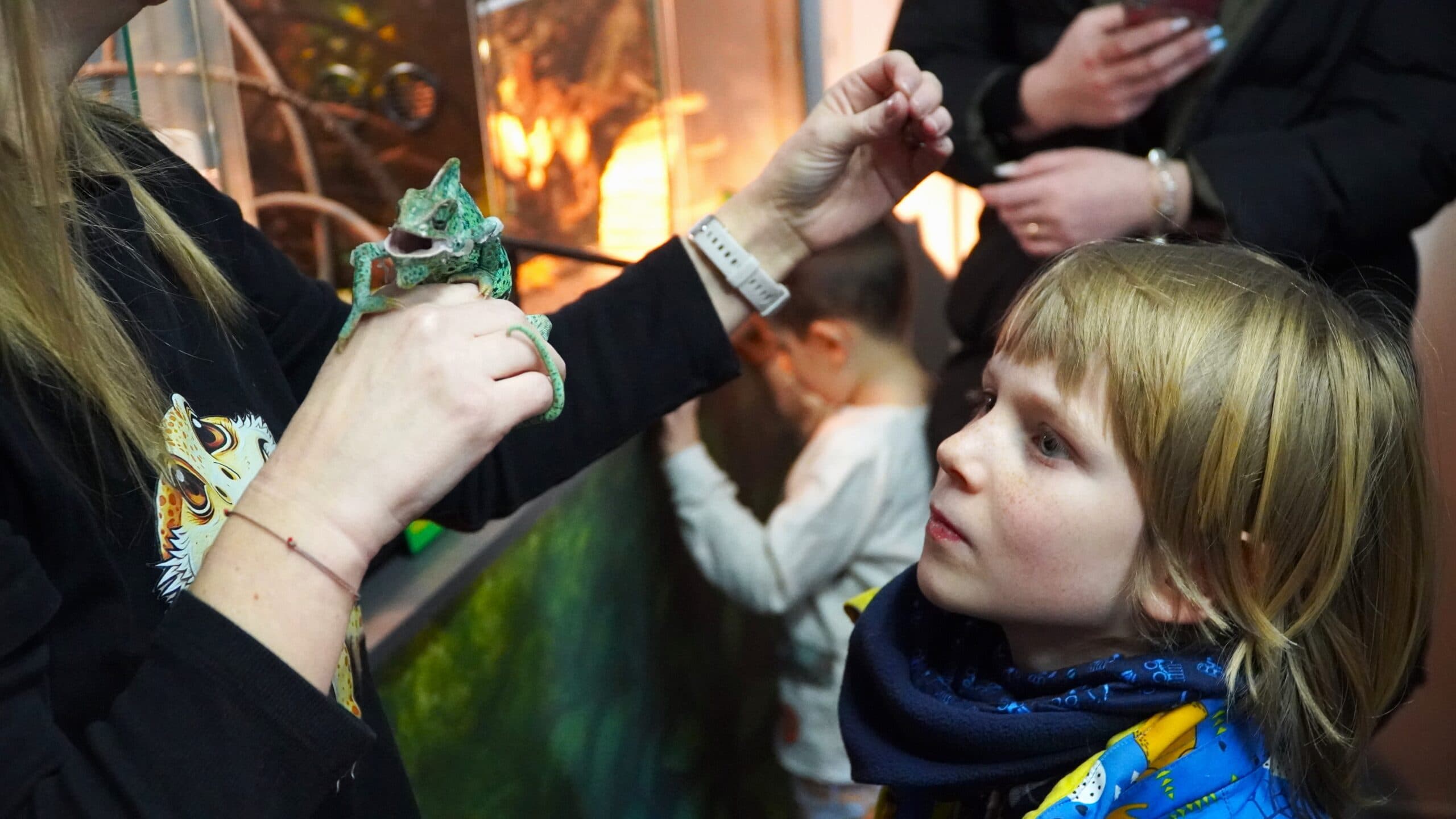 Agenda weekendului la Sibiu: petrecere pulse., teatru, expoziții, spectacole și baschet la Sala Transilvania